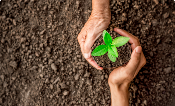 Environmental and Social Policies