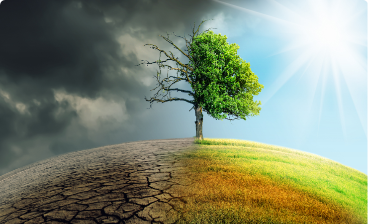 Climate Change Initiatives