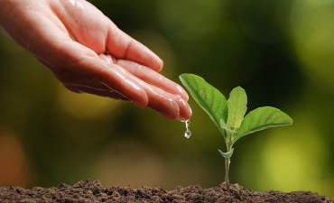 Public Disclosures Related to Environmental and Social Projects