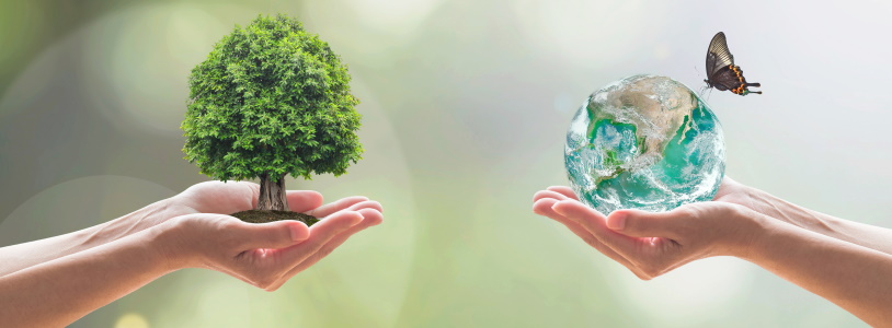 The Development and Investment Bank of Türkiye (TKYB) furthers its sustainable development performance with its environmental and social policies.