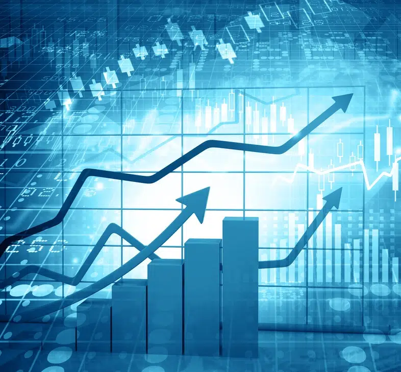 Sermaye Piyasaları Danışmanlığı