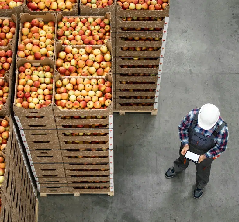 Sevk Öncesi İhracat Kredisi