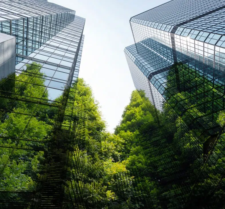 Çevresel ve Sosyal Kalkınma