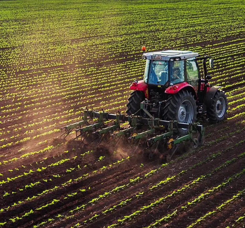 Tarım ve Gıda Güvenliği