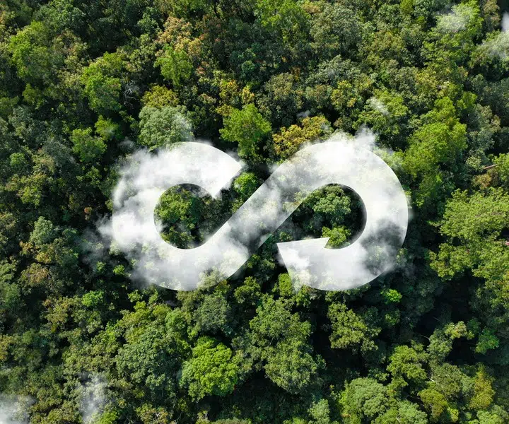 Döngüsel Ekonomi Yatırımları